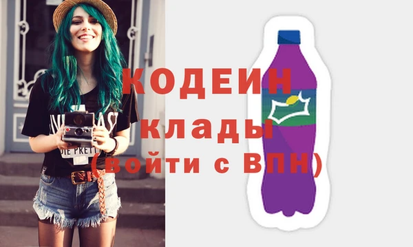 ешки Вяземский