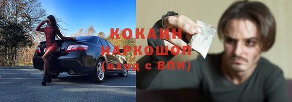 стаф Вязьма