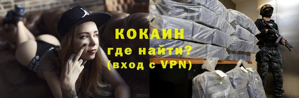 стаф Вязьма