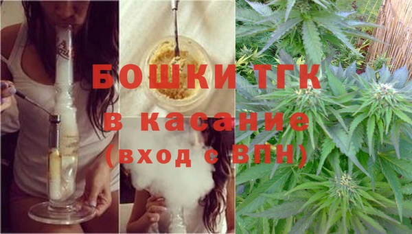стаф Вязьма