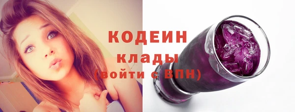 стаф Вязьма