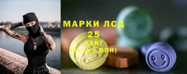 стаф Вязьма