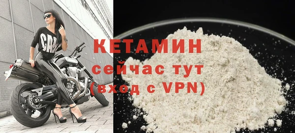 стаф Вязьма