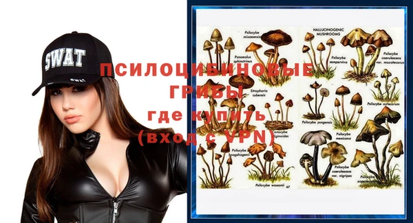 стаф Вязьма