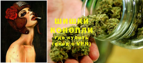 ешки Вяземский