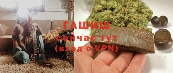 стаф Вязьма