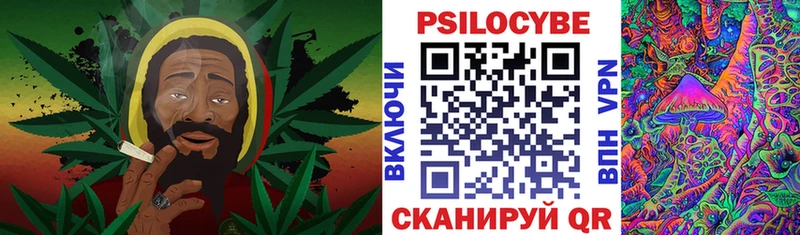 где можно купить   Октябрьский  Псилоцибиновые грибы ЛСД 